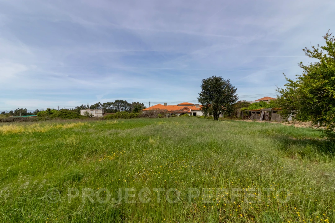 Terreno para Venda em Grijó e Sermonde Foto 5