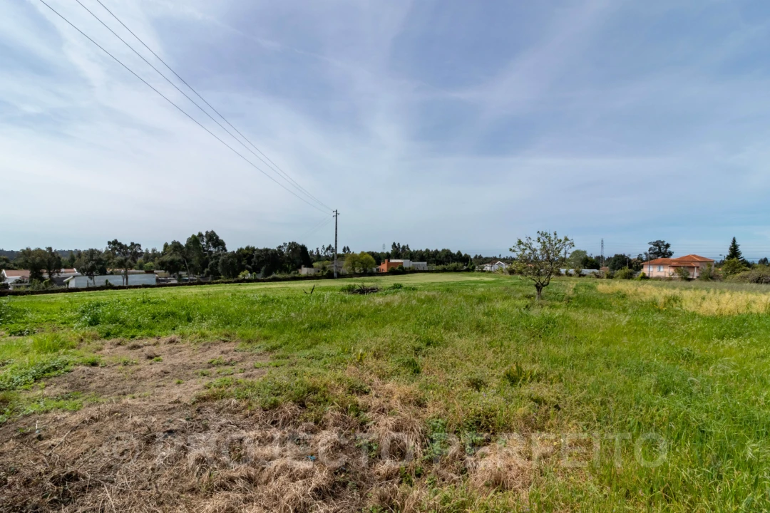 Terreno para Venda em Grijó e Sermonde Foto 6
