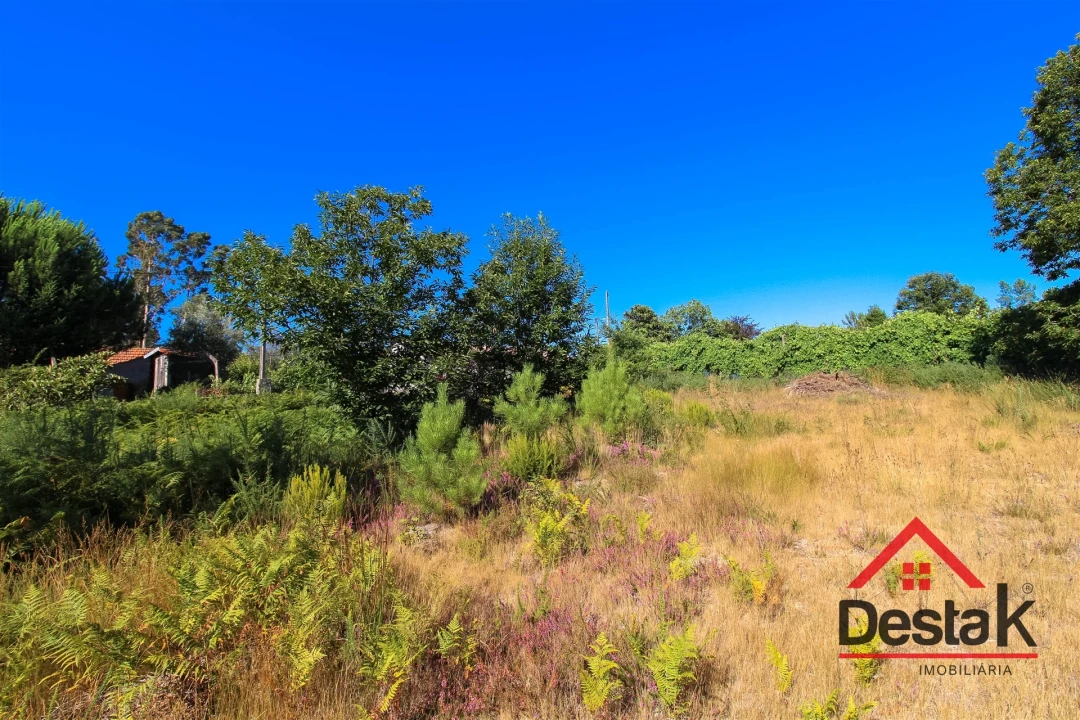 Quinta T0 para Venda em Carvalhais e Candal Foto 9
