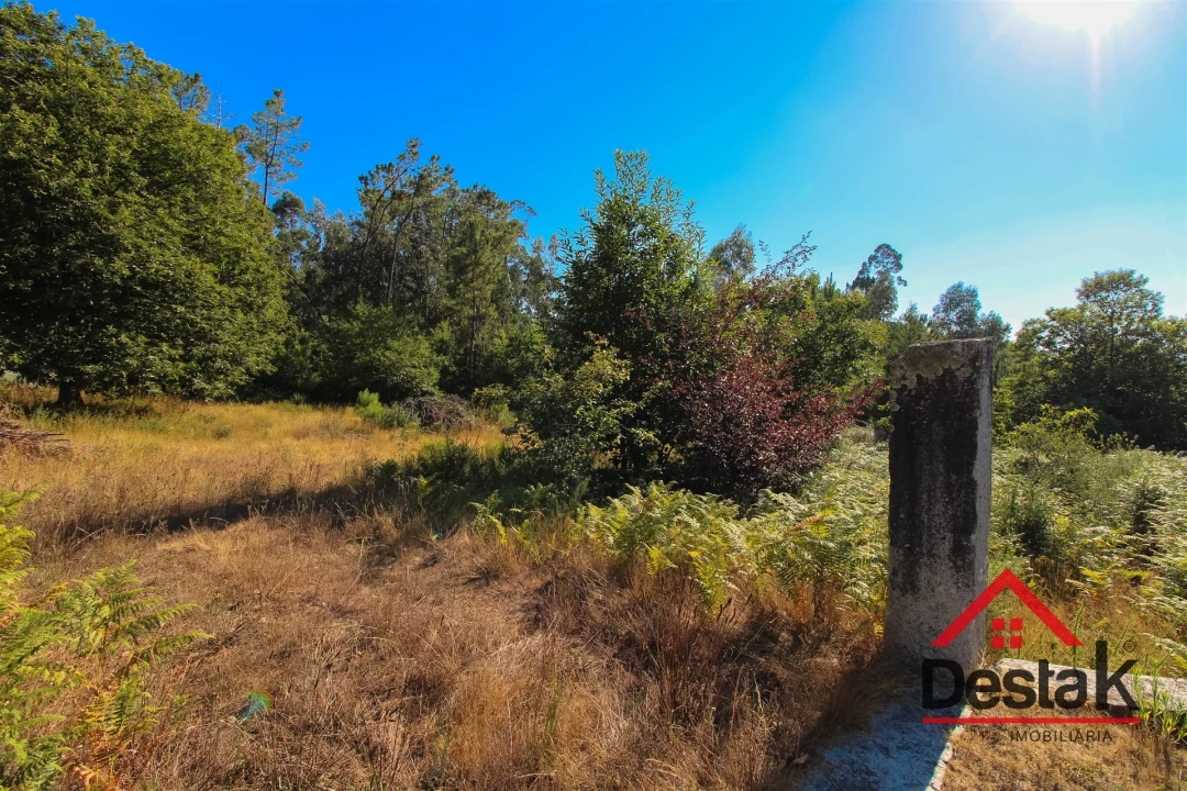 Quinta T0 para Venda em Carvalhais e Candal Foto 14