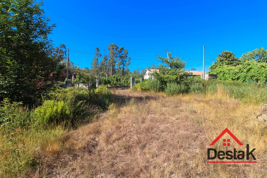 Quinta T0 para Venda em Carvalhais e Candal Foto 5