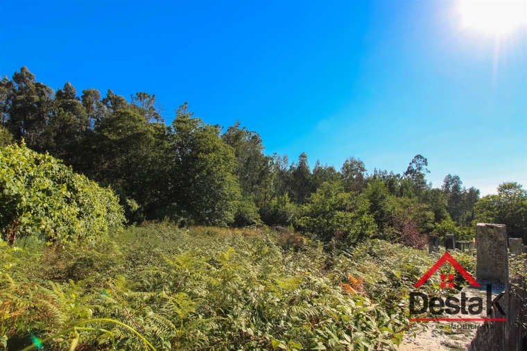 Quinta T0 para Venda em Carvalhais e Candal Foto 3