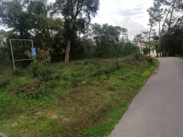 Terreno para Venda em Monte Real e Carvide