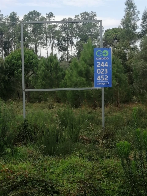 Terreno para Venda em Monte Real e Carvide