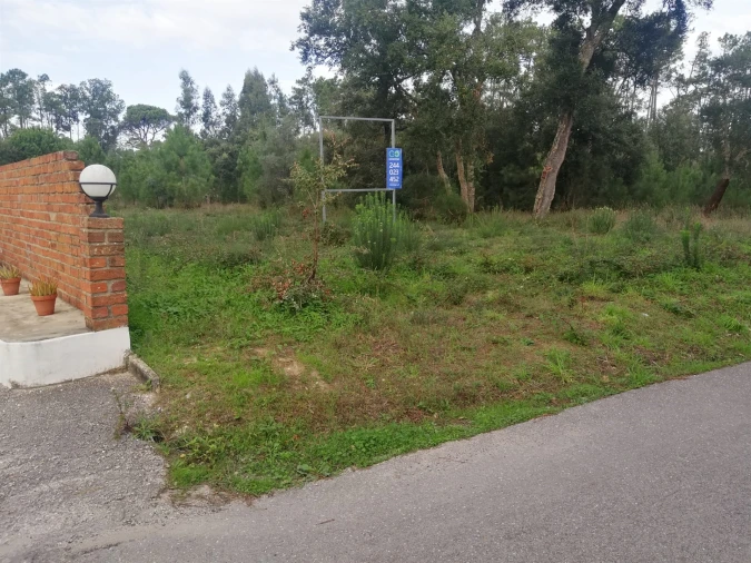 Terreno para Venda em Monte Real e Carvide Foto 4