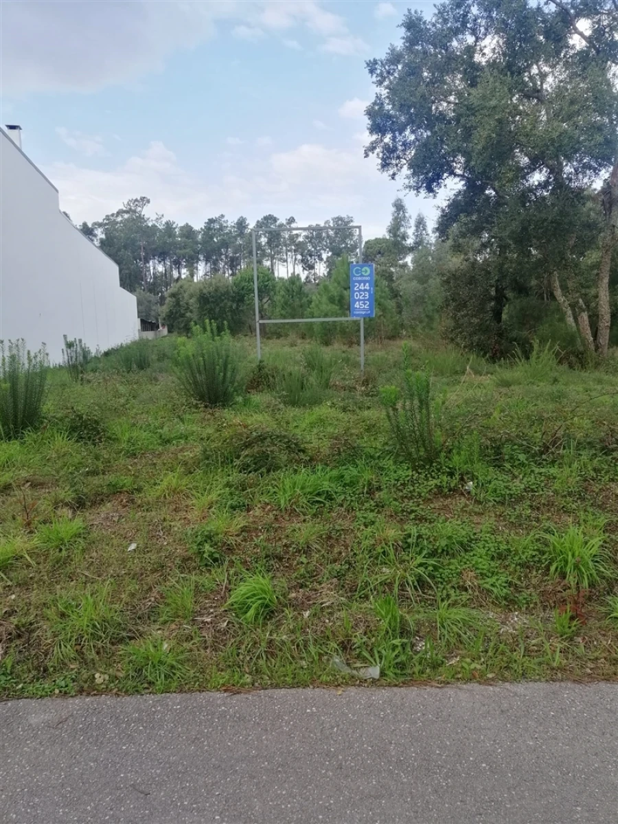 Terreno para Venda em Monte Real e Carvide Foto 6