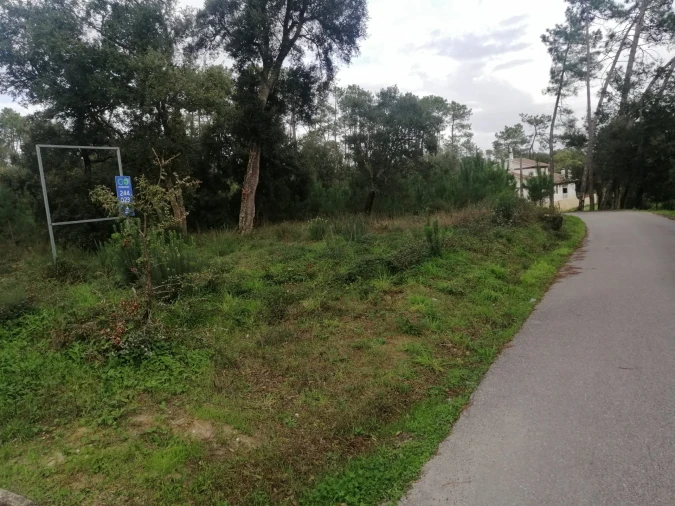 Terreno para Venda em Monte Real e Carvide Foto 2