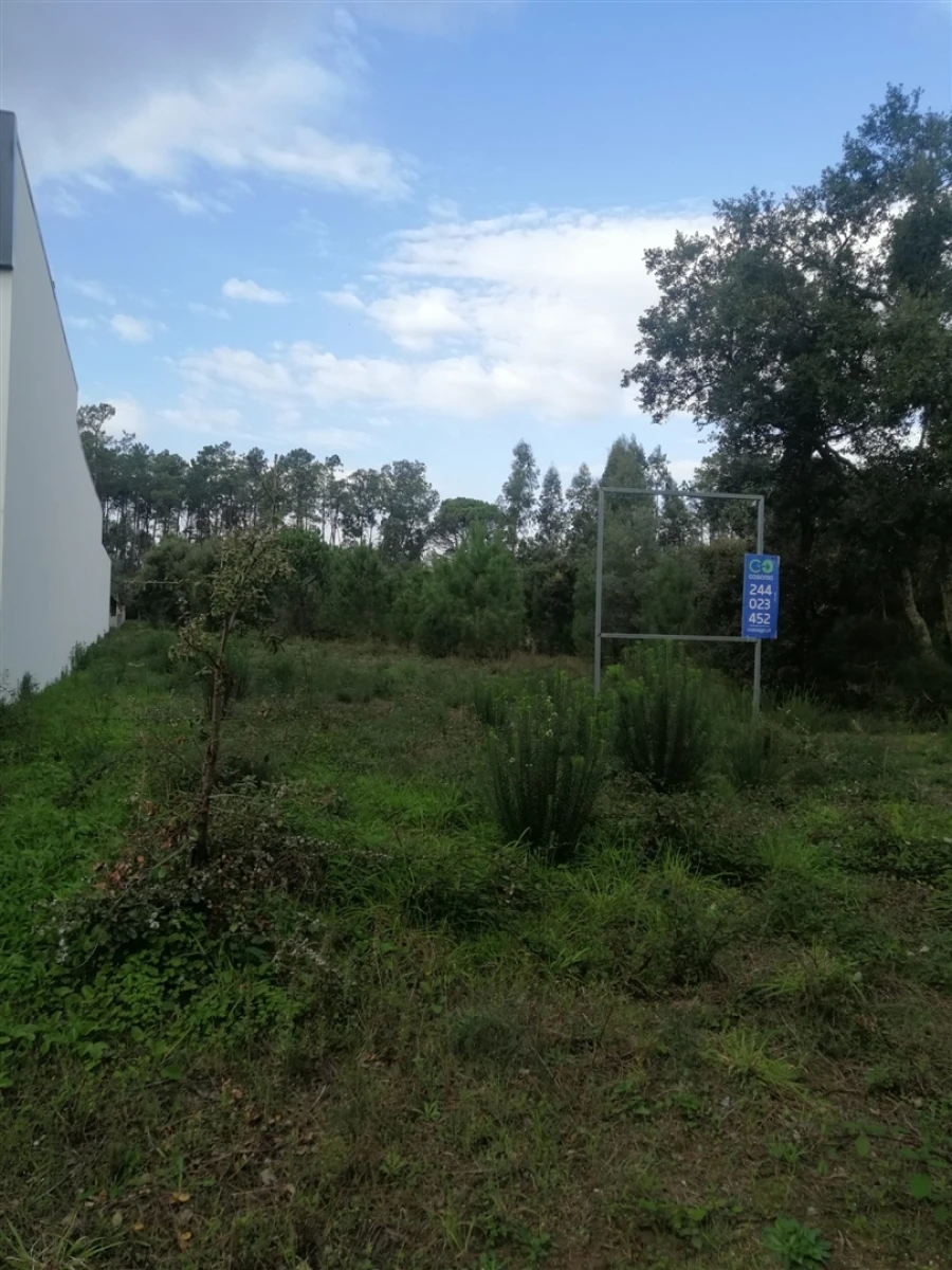 Terreno para Venda em Monte Real e Carvide Foto 3