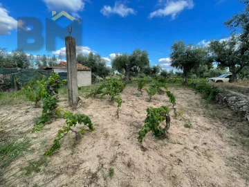 Terreno Agricola ou Rústico para Venda em Freixial e Juncal do Campo