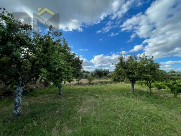Terreno Agricola ou Rústico para Venda em Freixial e Juncal do Campo