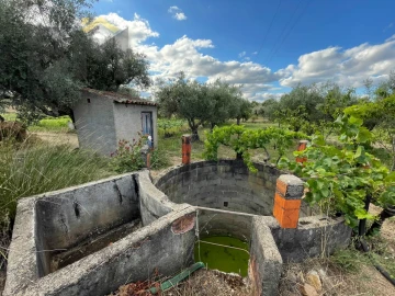 Terreno Agricola ou Rústico para Venda em Freixial e Juncal do Campo