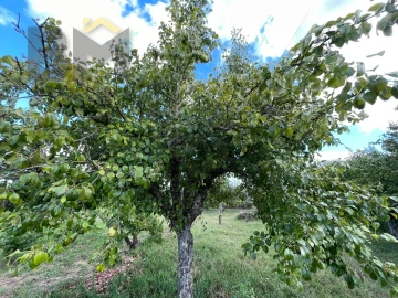 Terreno Agricola ou Rústico para Venda em Freixial e Juncal do Campo