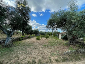 Terreno Agricola ou Rústico para Venda em Freixial e Juncal do Campo