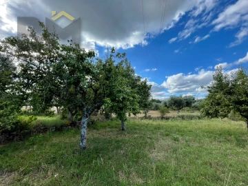 Terreno Agricola ou Rústico para Venda em Freixial e Juncal do Campo