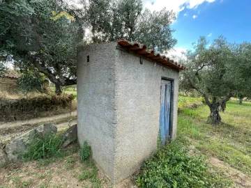 Terreno Agricola ou Rústico para Venda em Freixial e Juncal do Campo