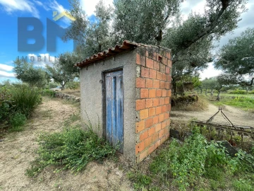 Terreno Agricola ou Rústico para Venda em Freixial e Juncal do Campo