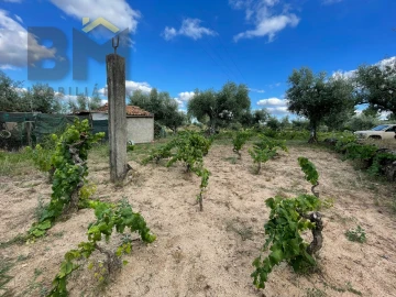 Terreno Agricola ou Rústico para Venda em Freixial e Juncal do Campo