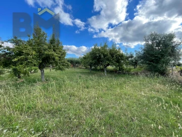 Terreno Agricola ou Rústico para Venda em Freixial e Juncal do Campo
