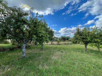 Terreno Agricola ou Rústico para Venda em Freixial e Juncal do Campo