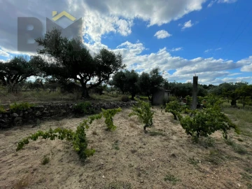 Terreno Agricola ou Rústico para Venda em Freixial e Juncal do Campo