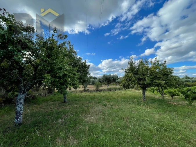 Terreno Agricola ou Rústico para Venda em Freixial e Juncal do Campo Foto 13