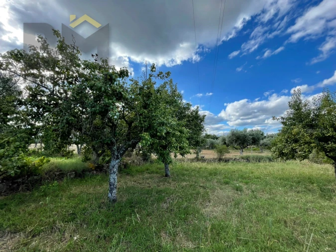 Terreno Agricola ou Rústico para Venda em Freixial e Juncal do Campo Foto 10