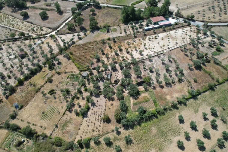 Terreno Agricola ou Rústico para Venda em Freixial e Juncal do Campo Foto 3