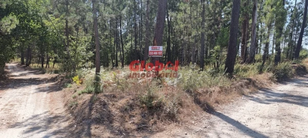 Terreno para Venda em Silgueiros