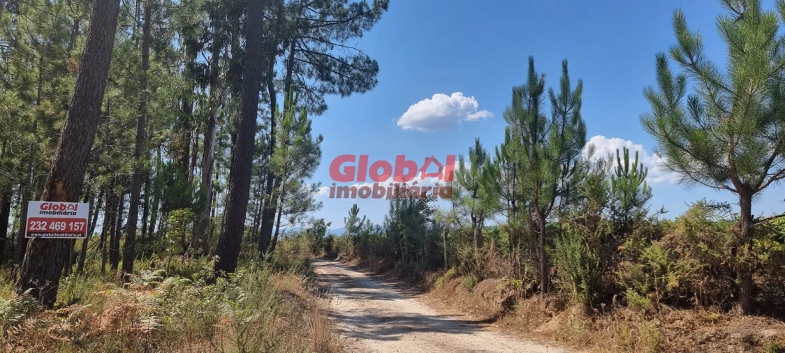 Terreno para Venda em Silgueiros Foto 2