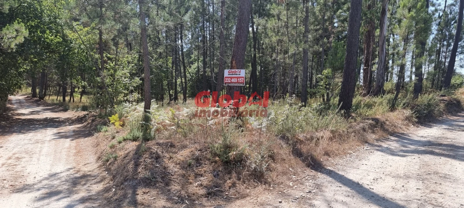 Terreno para Venda em Silgueiros Foto 1