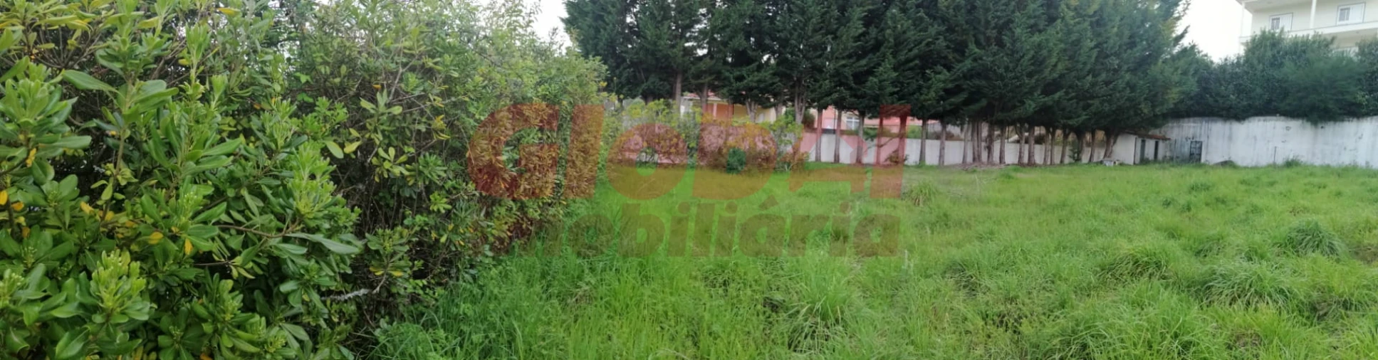 Terreno para Venda em Couto de Baixo e Couto de Cima Foto 5