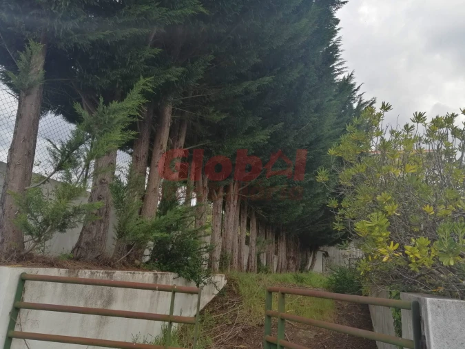 Terreno para Venda em Couto de Baixo e Couto de Cima Foto 3