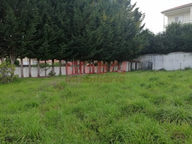 Terreno para Venda em Couto de Baixo e Couto de Cima Foto 6