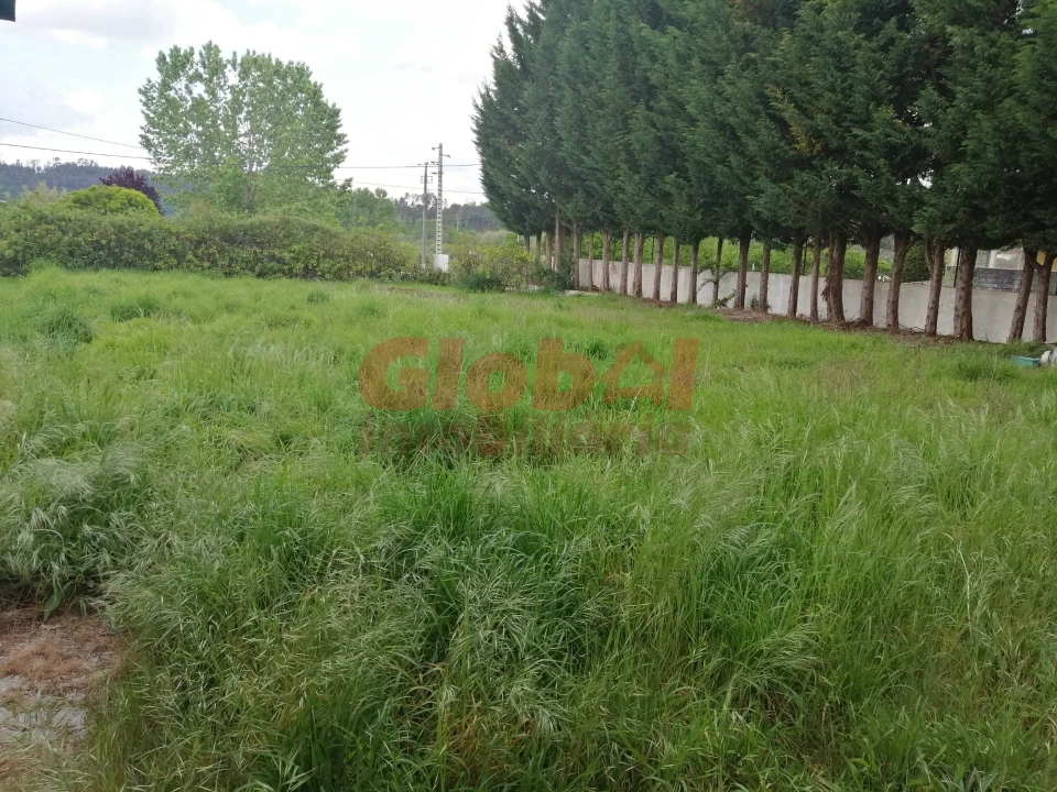 Terreno para Venda em Couto de Baixo e Couto de Cima Foto 1