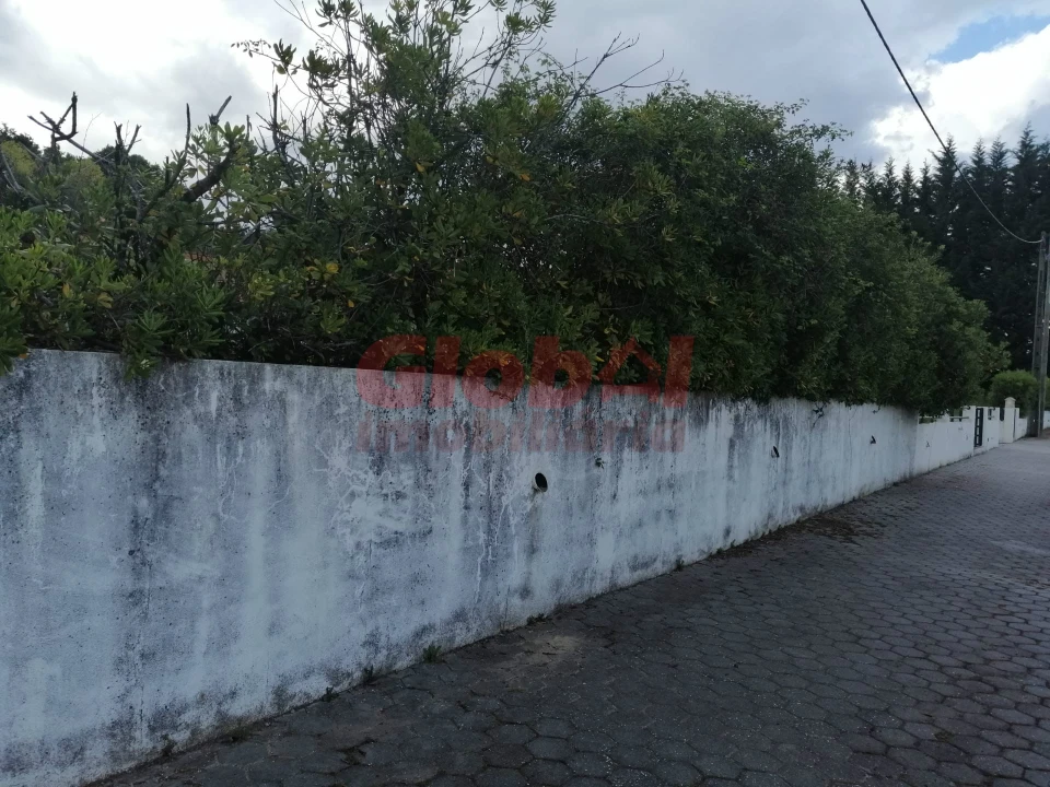 Terreno para Venda em Couto de Baixo e Couto de Cima Foto 8