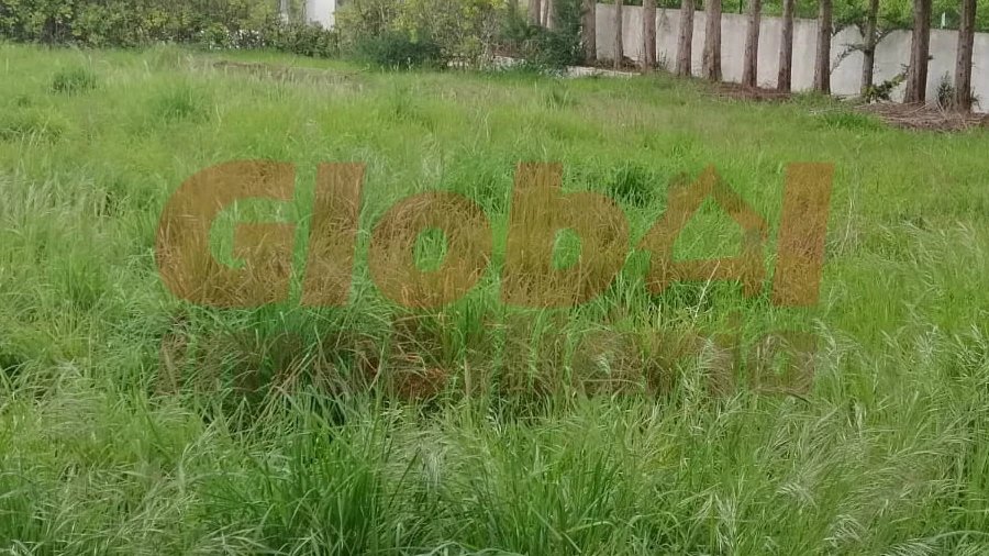 Terreno para Venda em Couto de Baixo e Couto de Cima