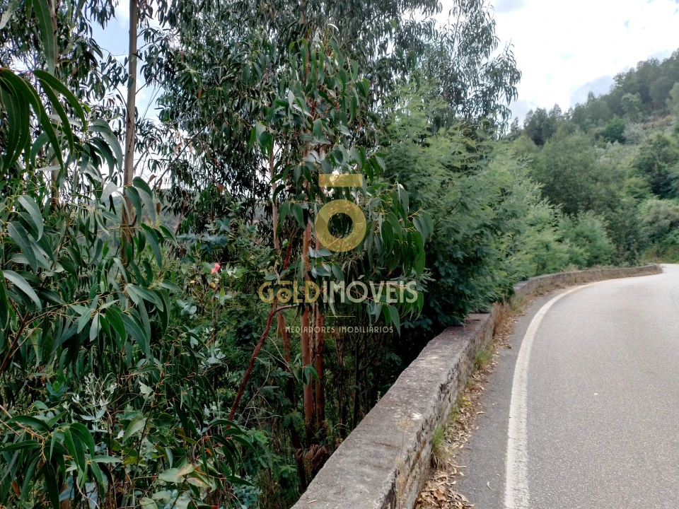 Terreno Agricola ou Rústico para Venda em Raiva, Pedorido e Paraíso Foto 4