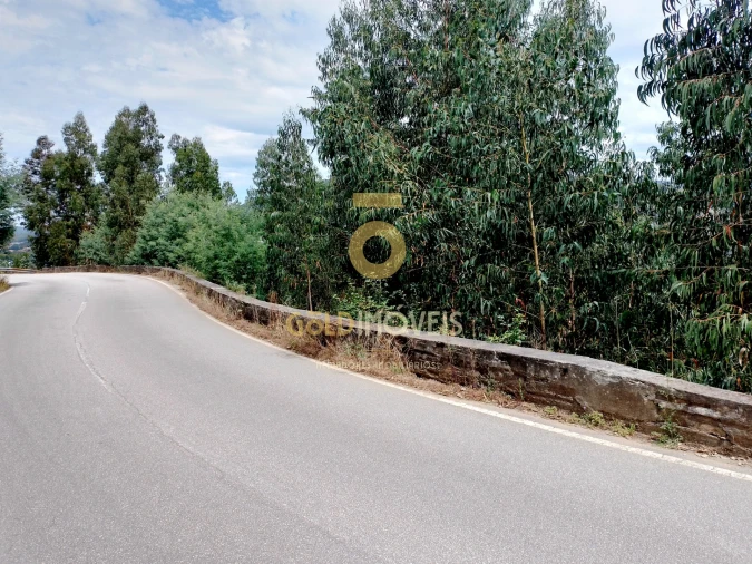 Terreno Agricola ou Rústico para Venda em Raiva, Pedorido e Paraíso Foto 3