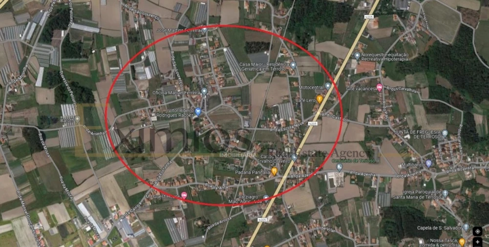 Terreno Agricola ou Rústico para Venda em Aver-O-Mar, Amorim e Terroso Foto 1