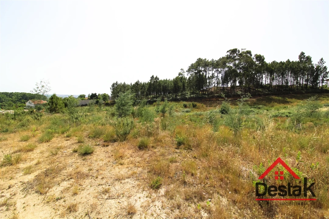 Terreno para Venda em Mundão Foto 6