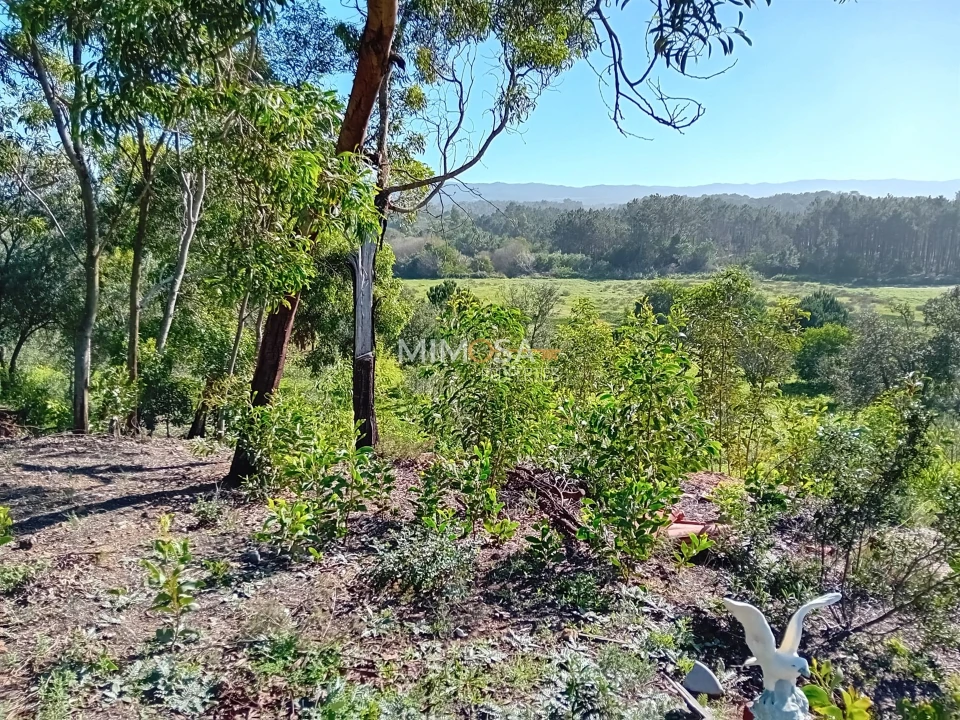 Terreno Agricola ou Rústico para Venda em Rogil Foto 9