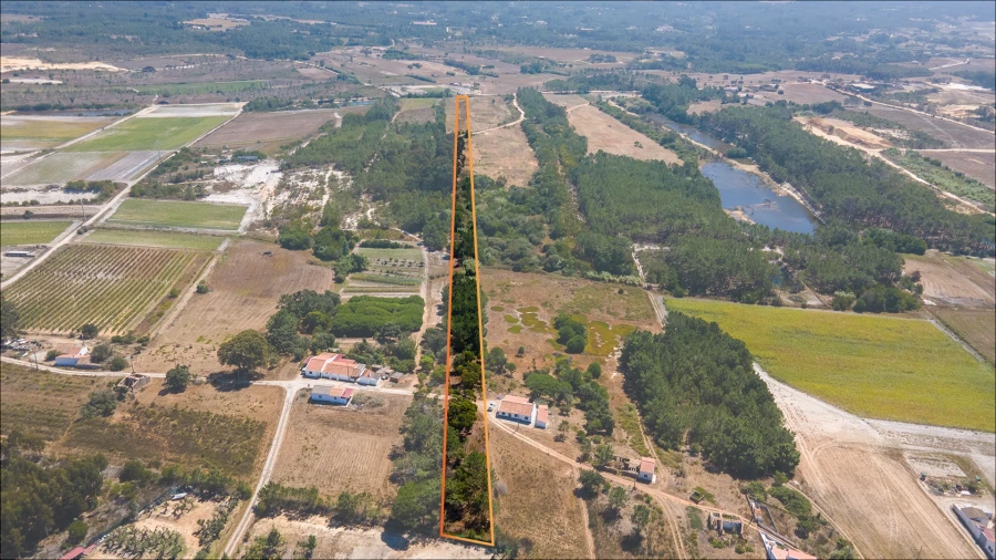 Terreno Agricola ou Rústico para Venda em Rogil Foto 1