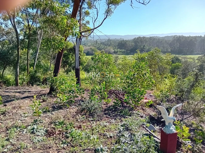 Terreno Agricola ou Rústico para Venda em Rogil Foto 11