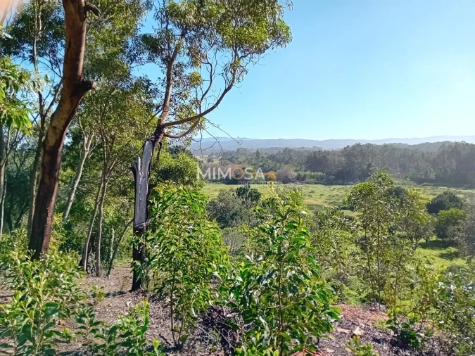 Terreno Agricola ou Rústico para Venda em Rogil Foto 10