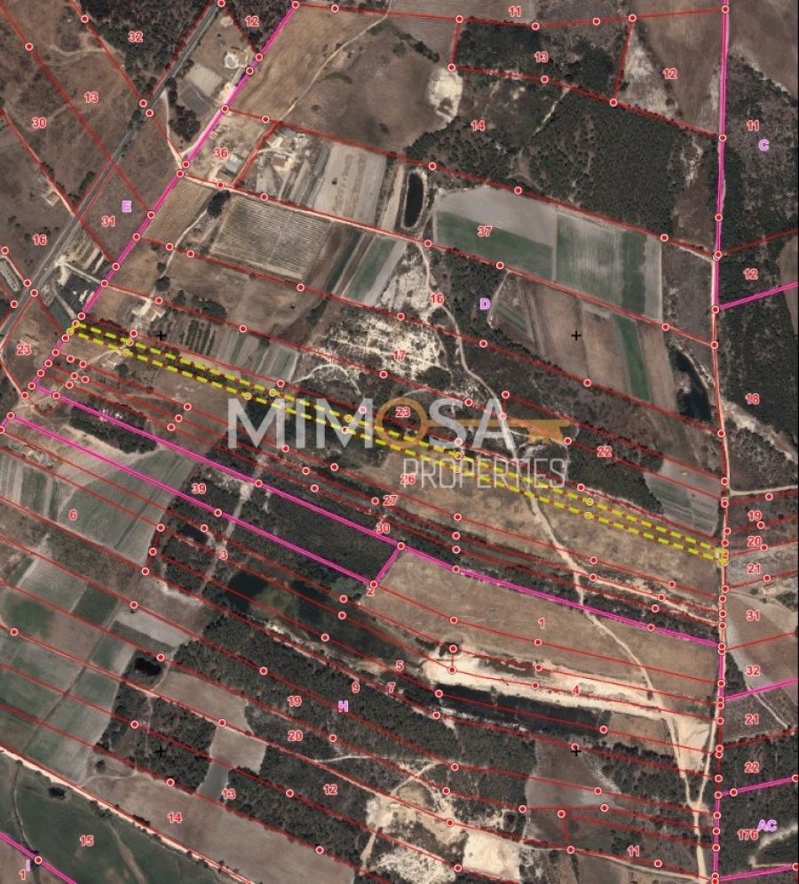 Terreno Agricola ou Rústico para Venda em Rogil Foto 13