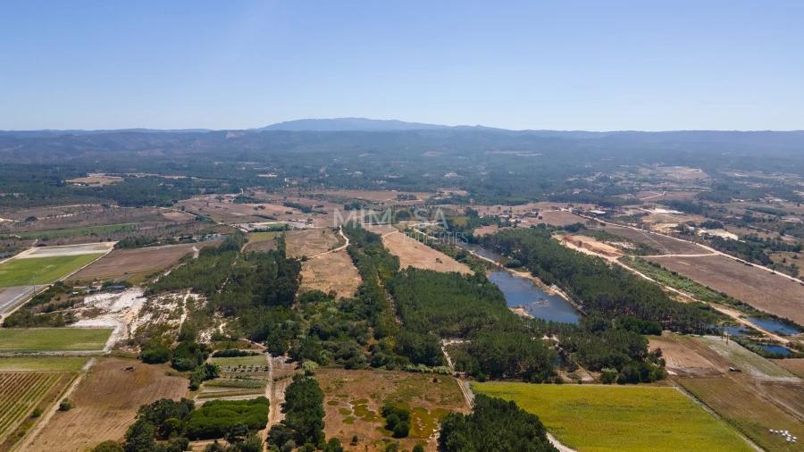 Terreno Agricola ou Rústico para Venda em Rogil Foto 21