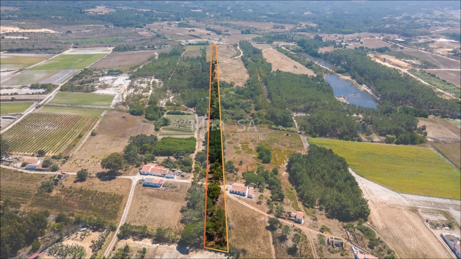 Terreno Agricola ou Rústico para Venda em Rogil Foto 4