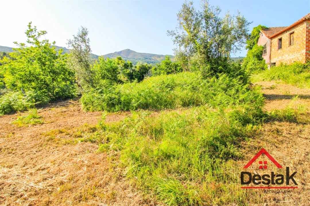 Moradia T0 para Venda em Sul Foto 3