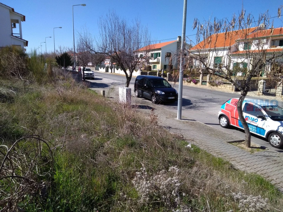 Terreno para Venda em Lardosa Foto 6