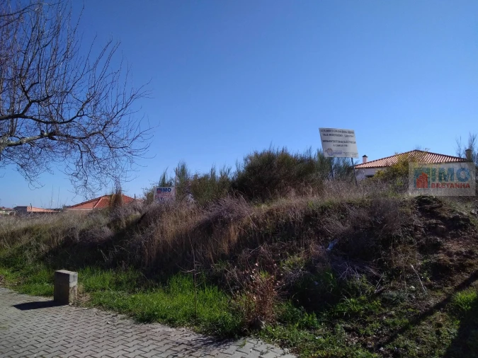 Terreno para Venda em Lardosa Foto 3
